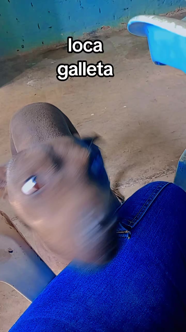 @Sonifer 🪷