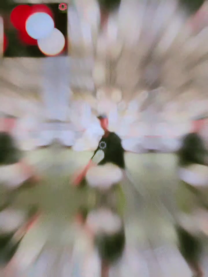 @★꧁𓊈𒆜Jabed𒆜𓊉꧂★