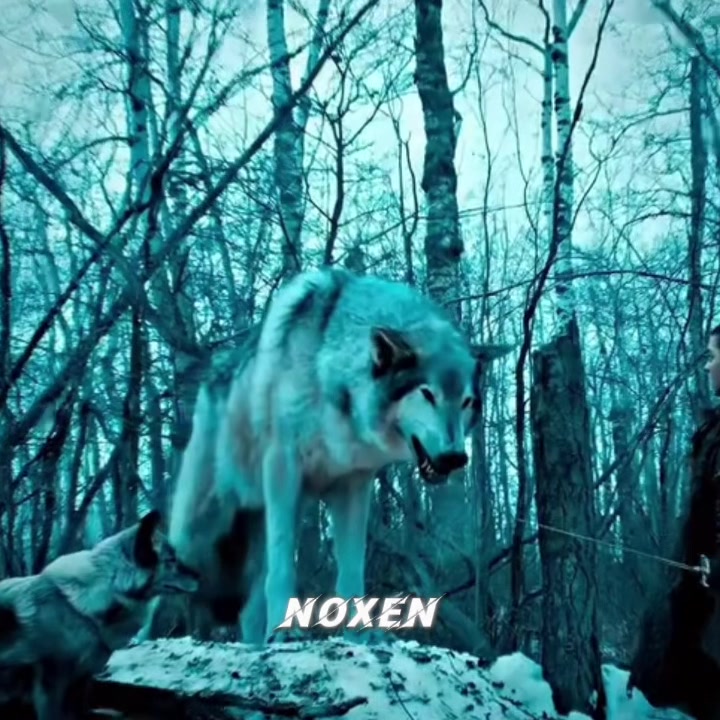 @Noxen
