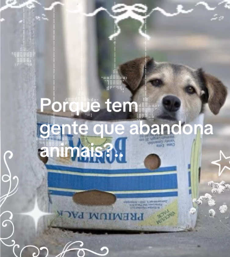 @꧁𝓨𝓾𝓼𝓱𝓸꧂