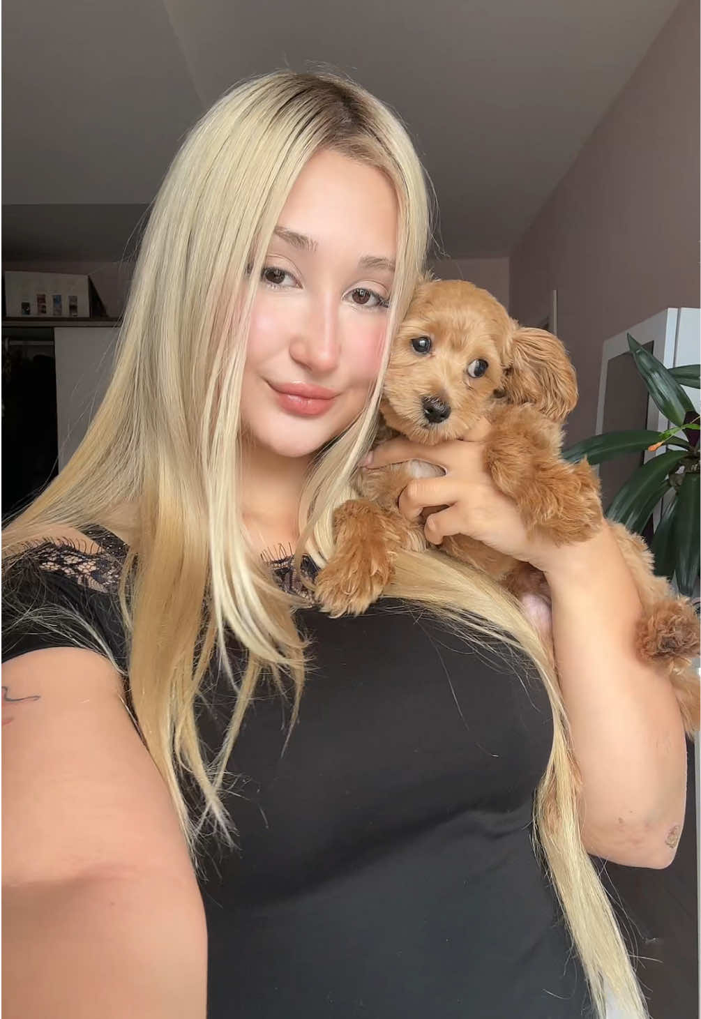 @ozzgww