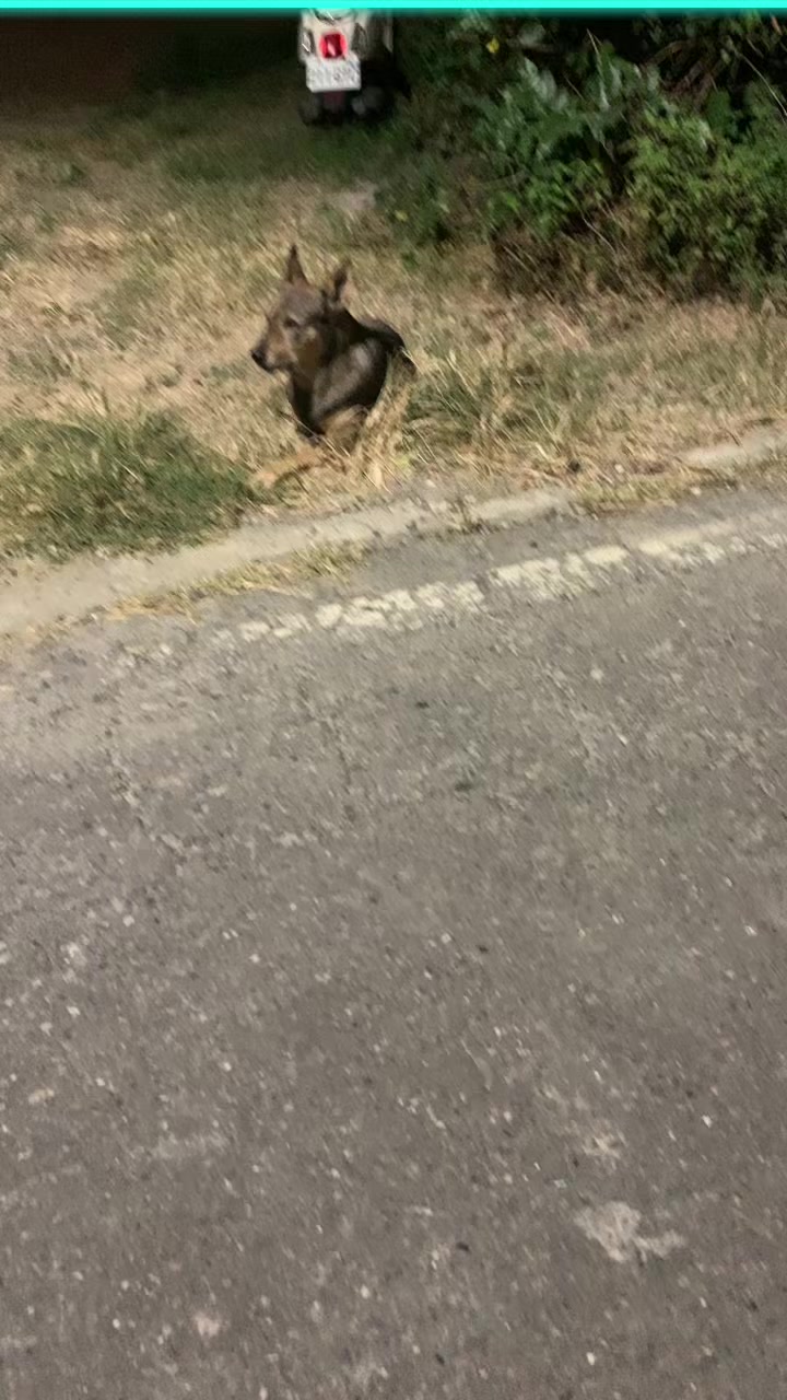 @海苔