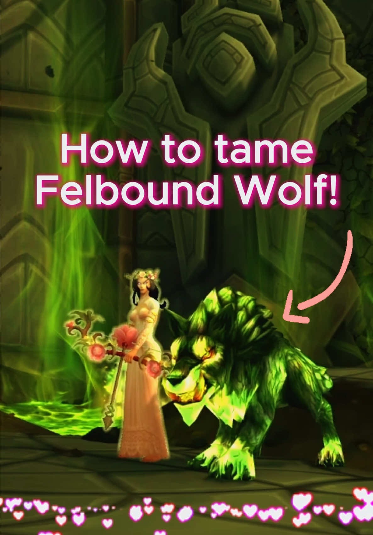 @TabbyKatGaming | WoW Guides