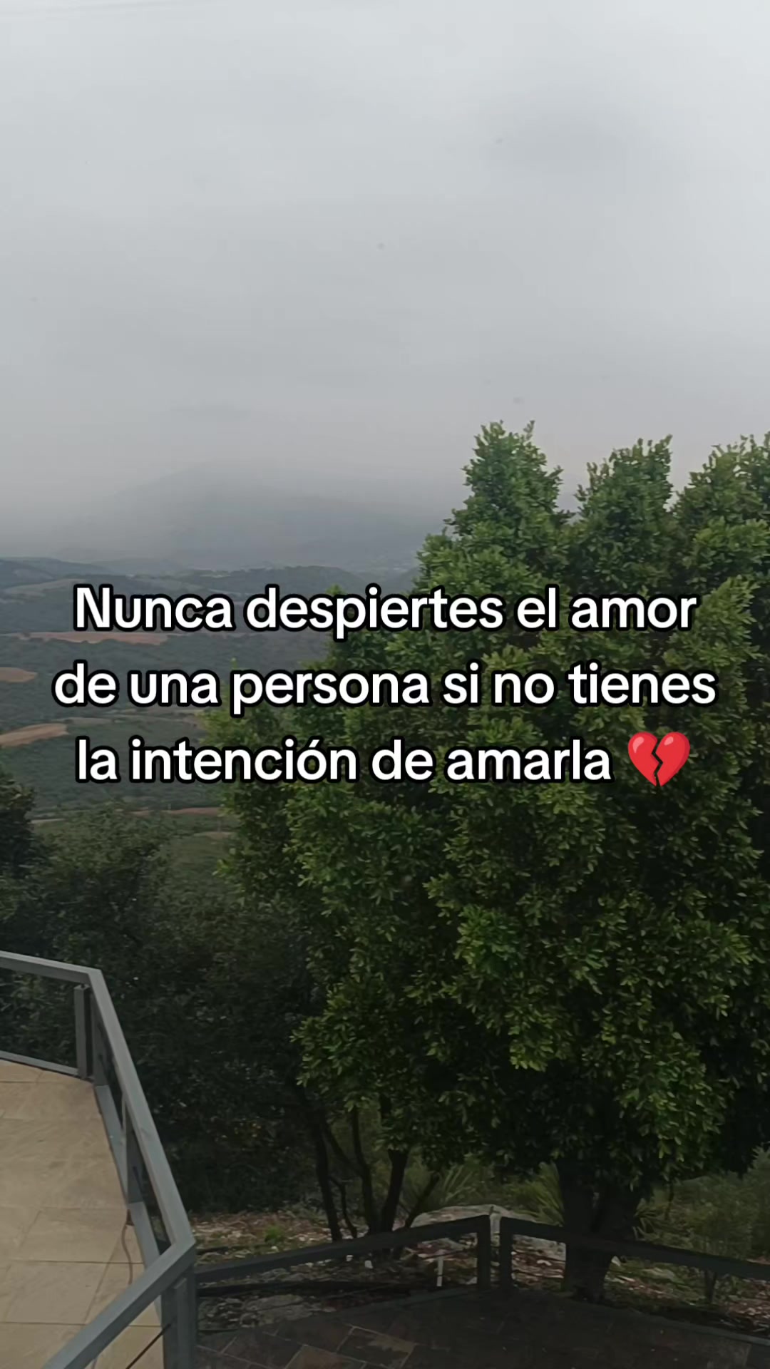 @Romero marifeli