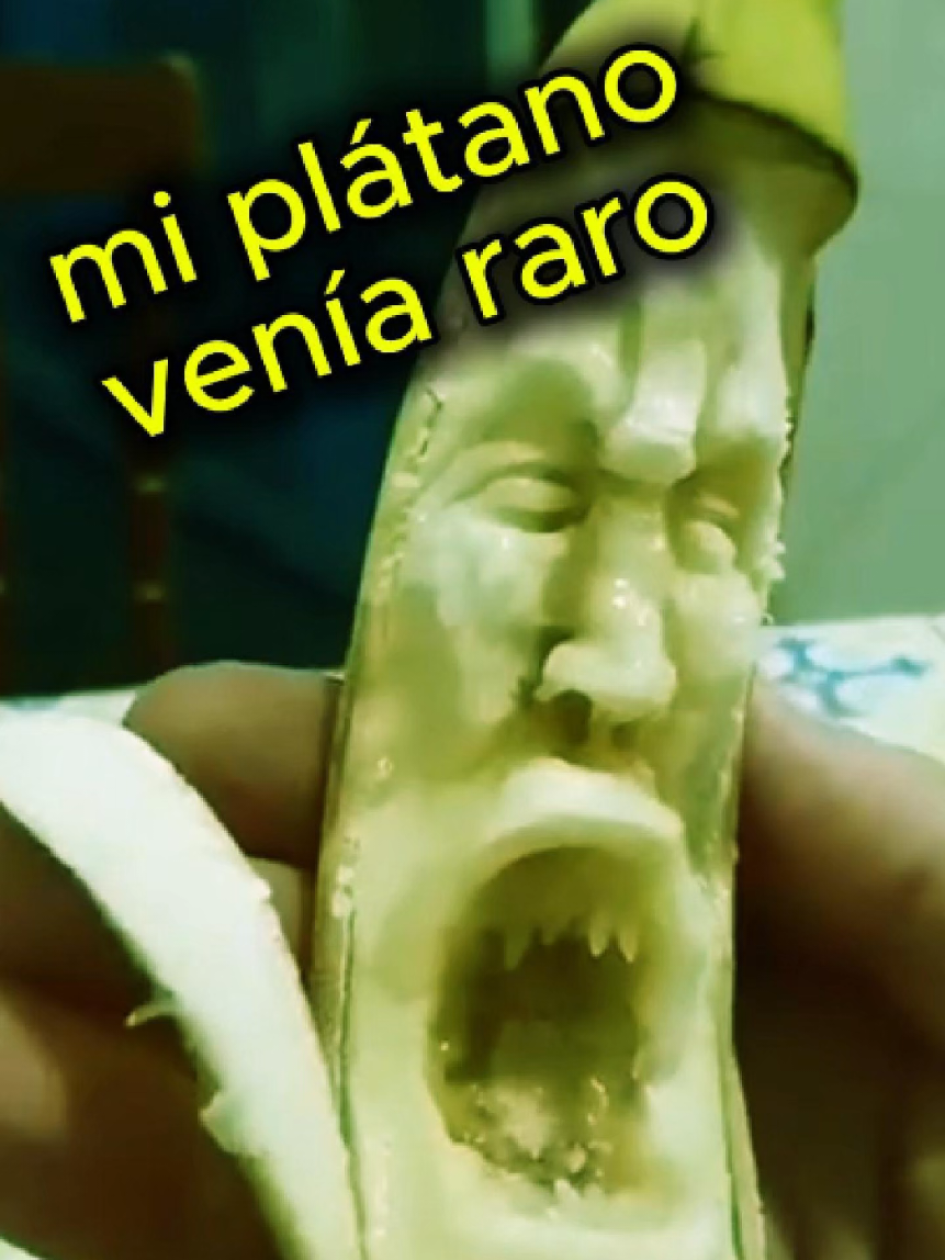 @Palomitas Flow