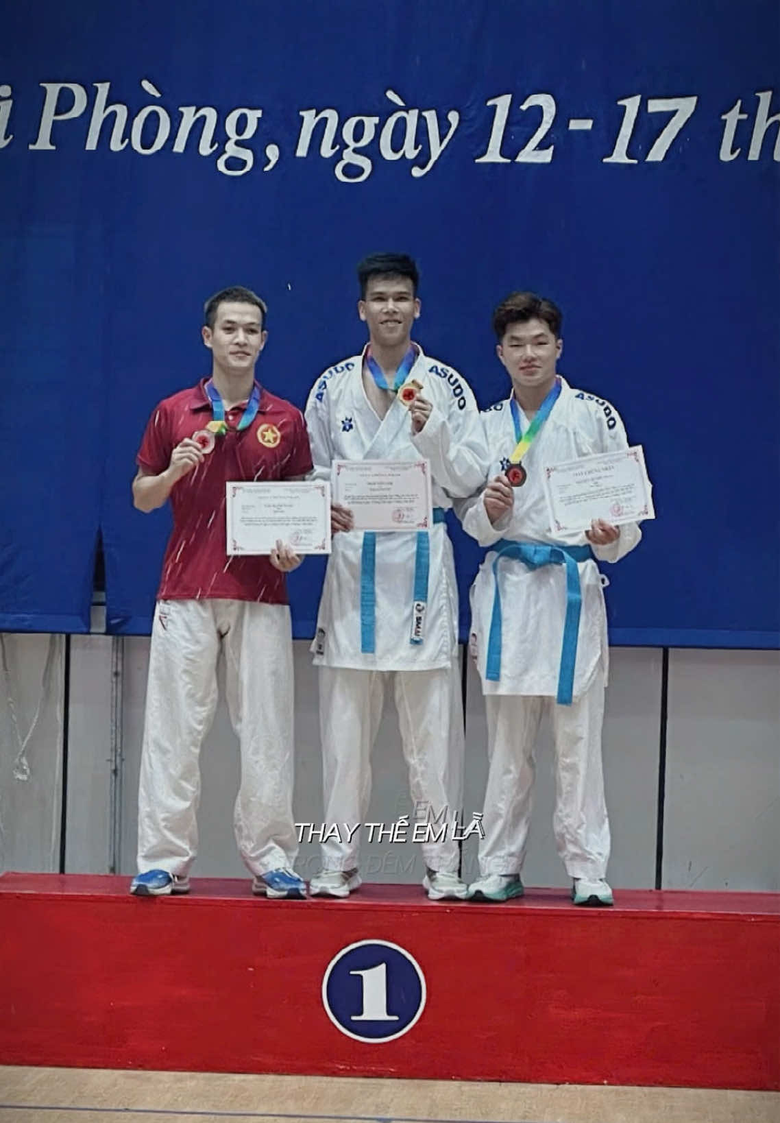 @🇻🇳TRẦN TIẾN ANH🥋