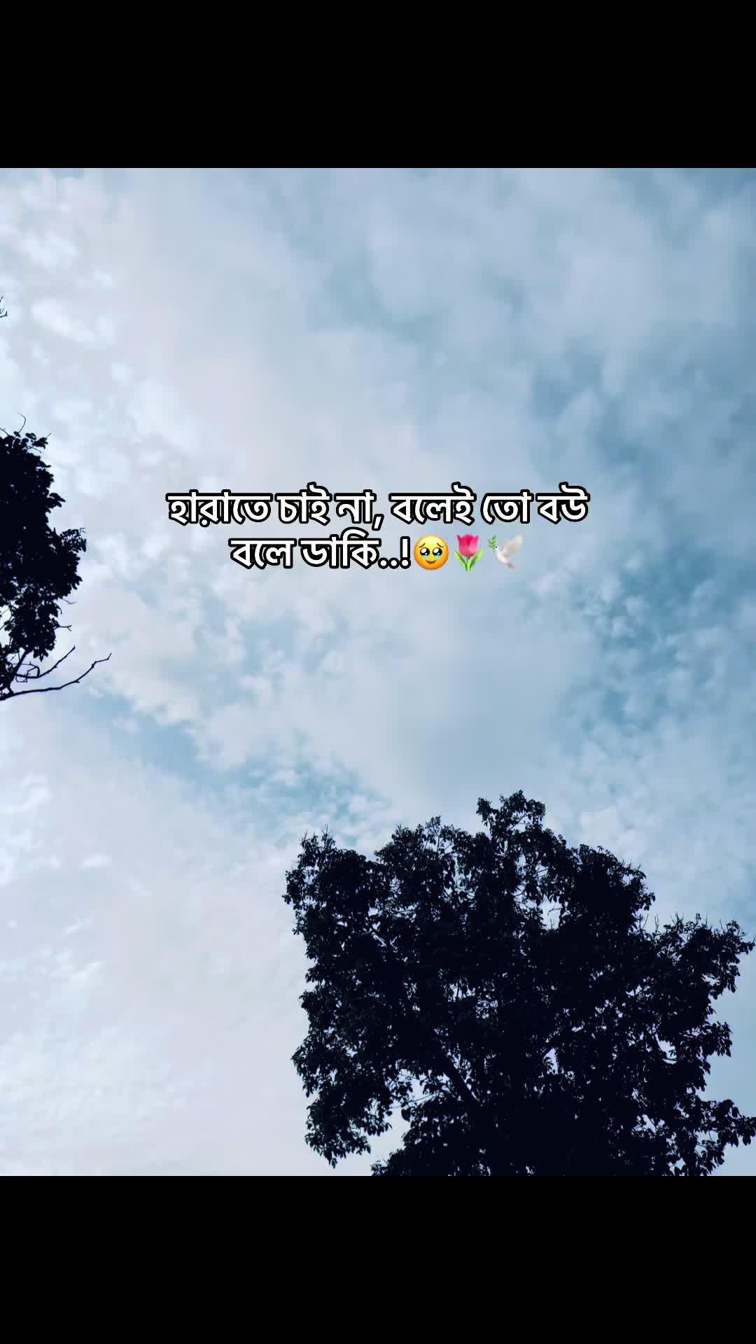 @đ° đĻ đ đ đ đ đ°'âĄ