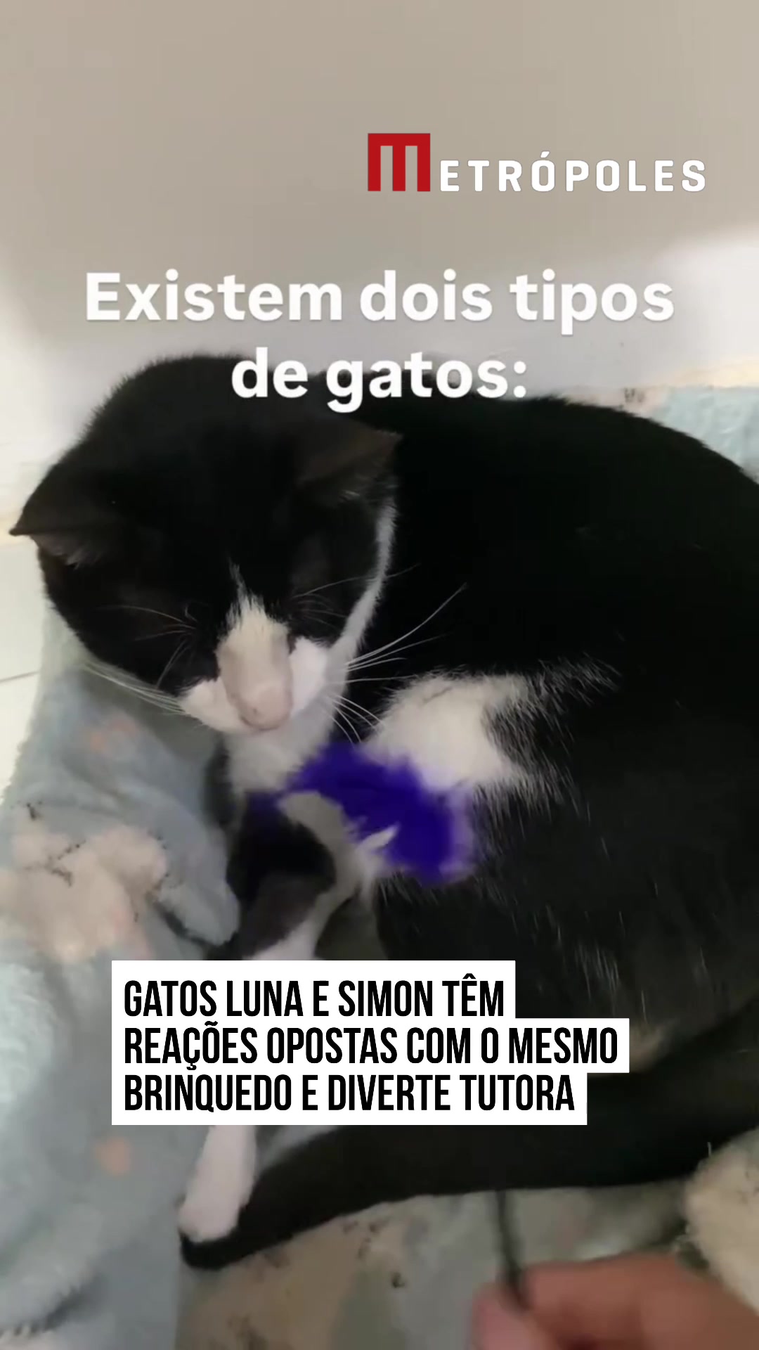 @Metrópoles Oficial