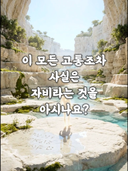 @빛의 씨앗
