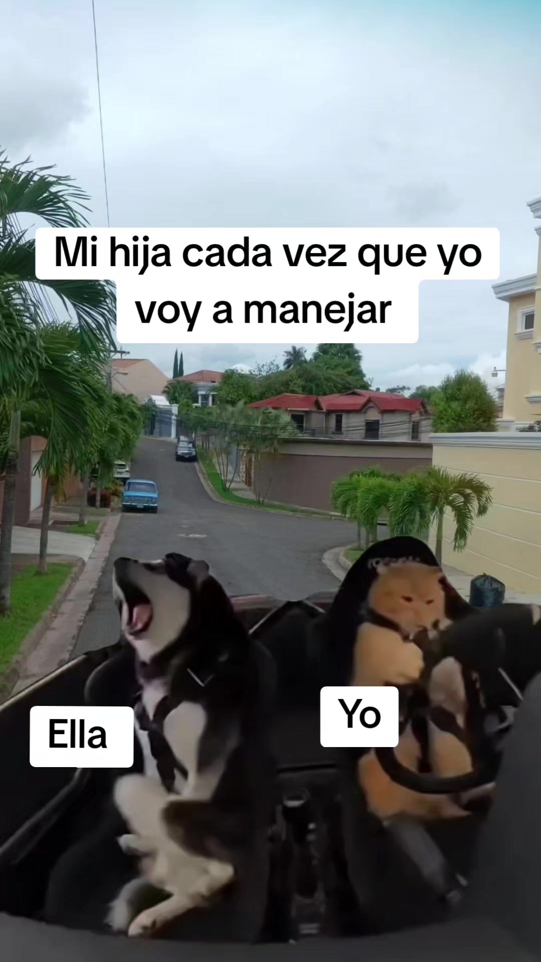 @Misinguita Cárdenas 😻