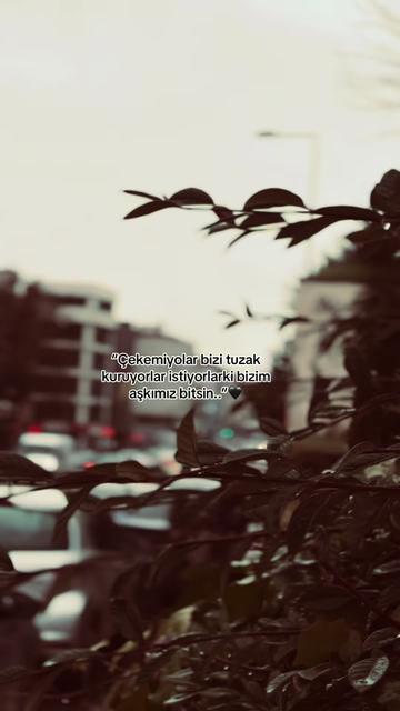 @✪Storilik.21✪
