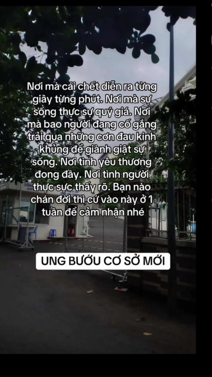 @Qu&ocirc;́c Ti&ecirc;́n ✅