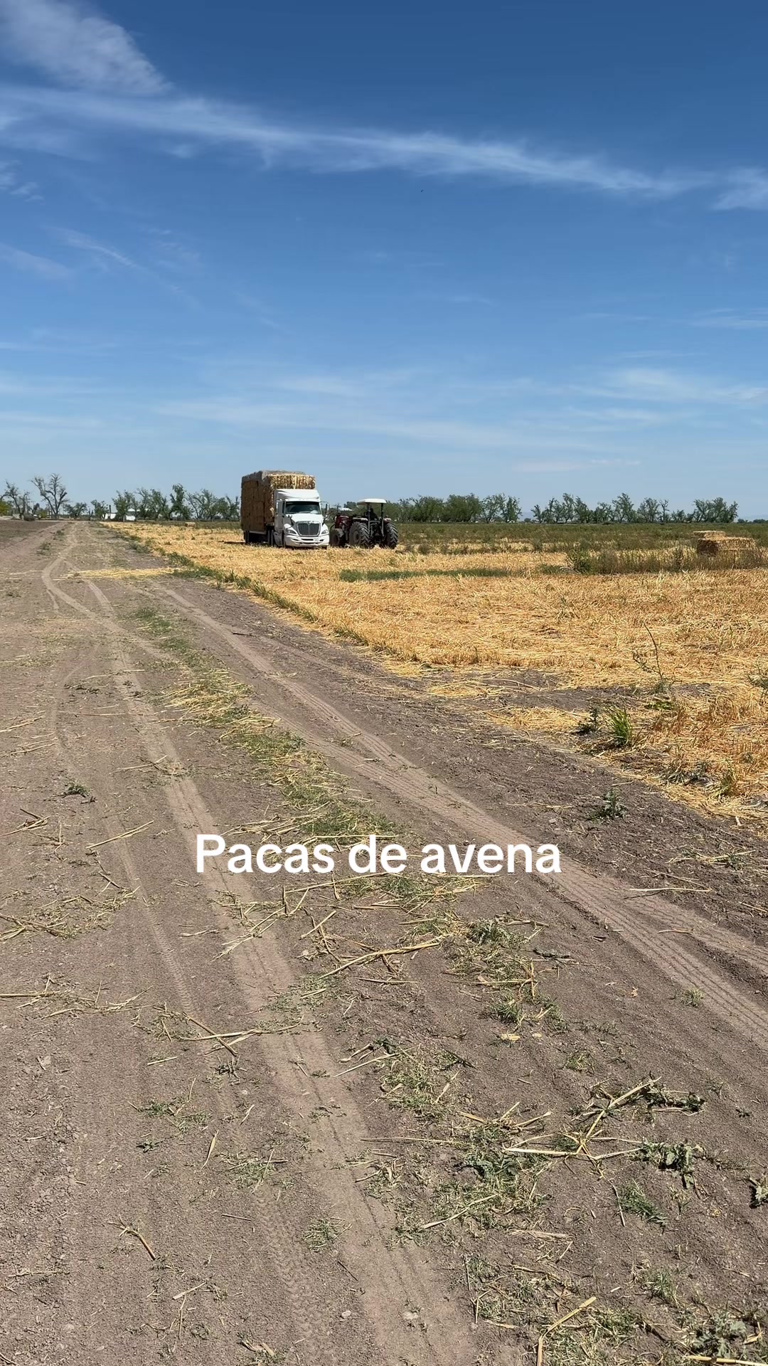 @Pablo Villarreal