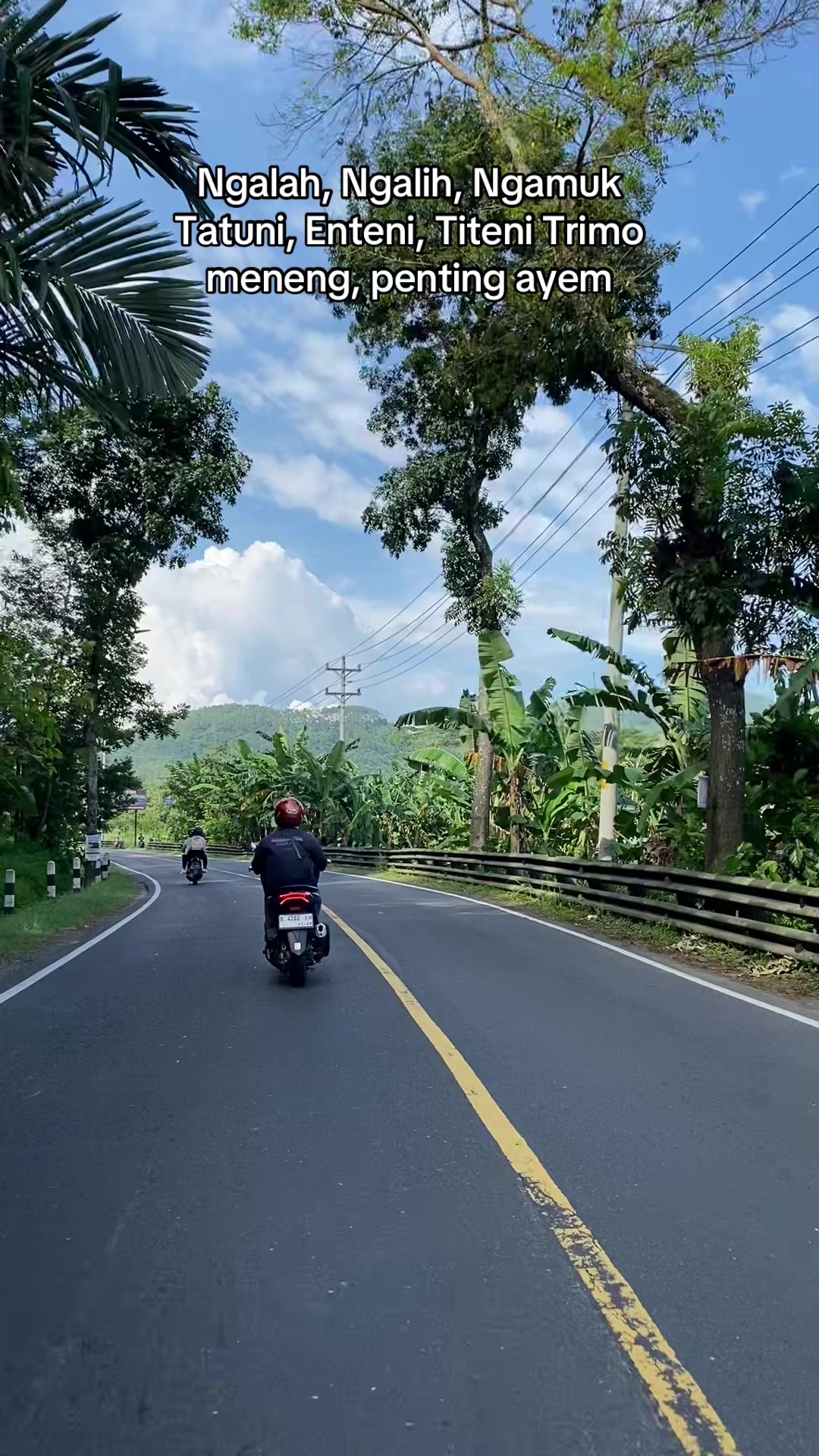 @arifinsalim