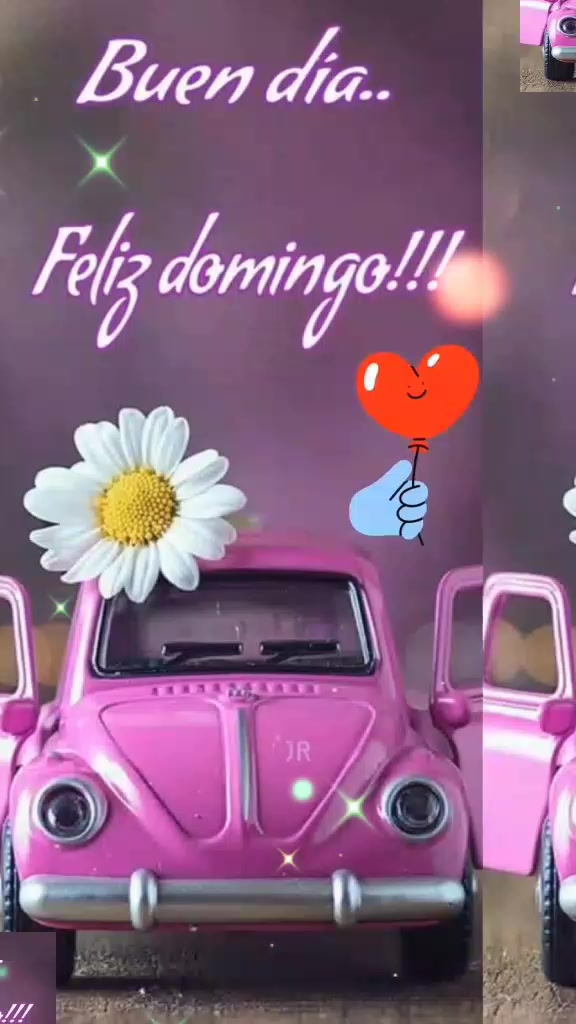 @AnilecSan