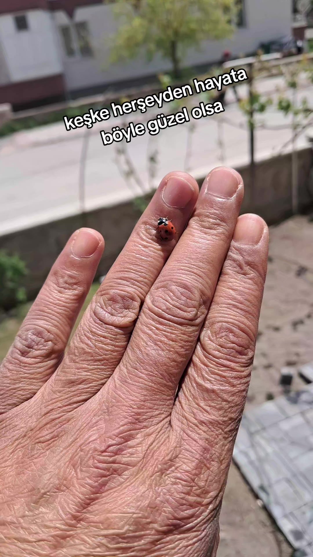 @💫 KARAKIZIN 💫 ELİŞİ 💫