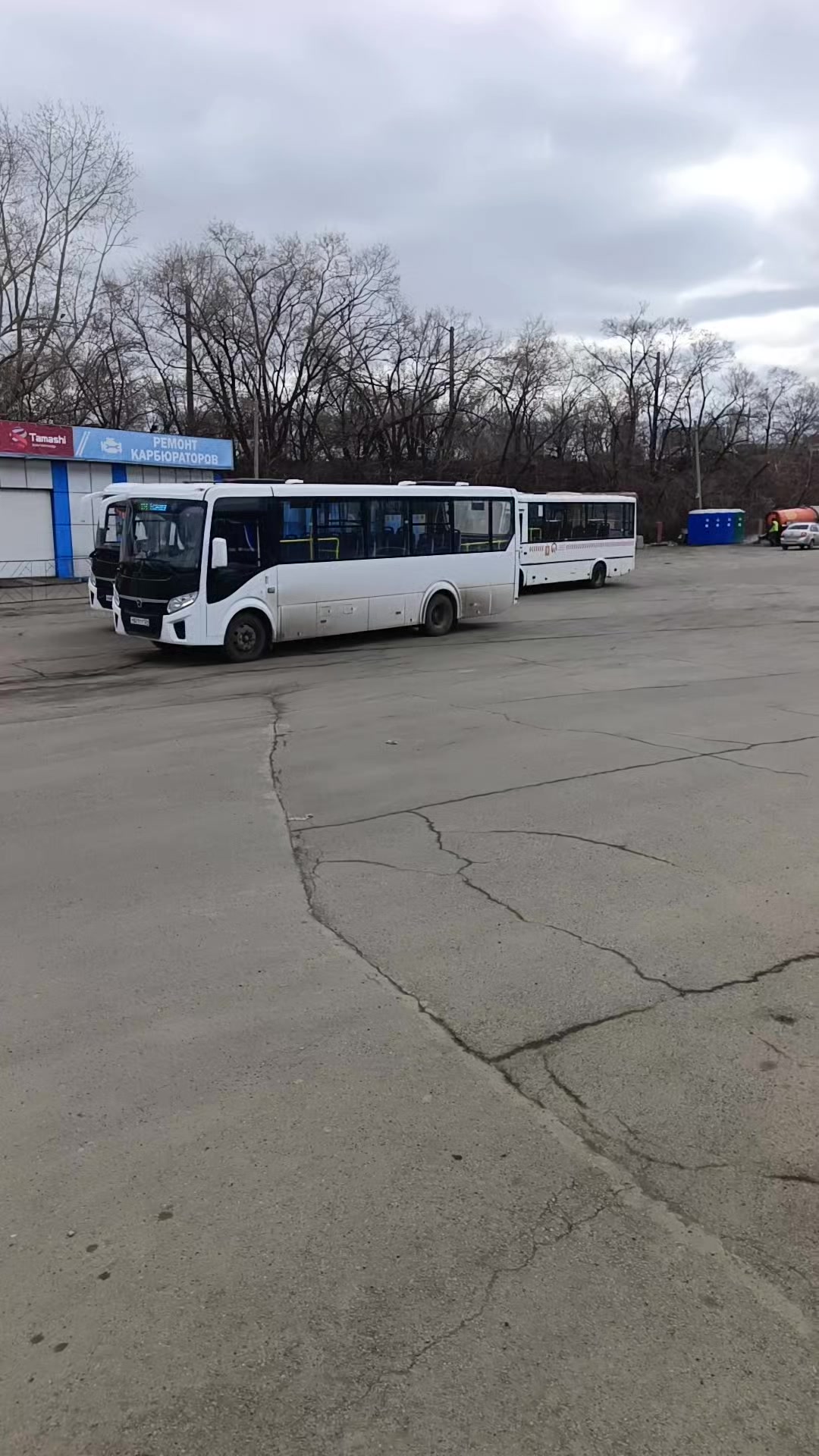@Колек Медведников