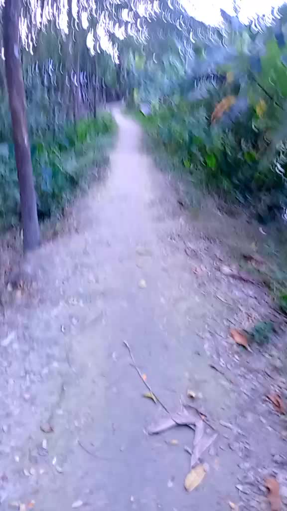 @Md1714305880