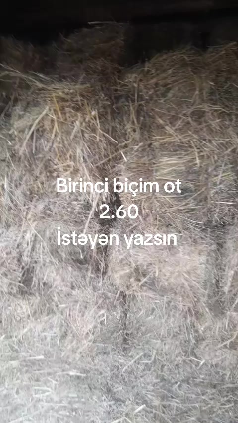 @kend_həyati_041