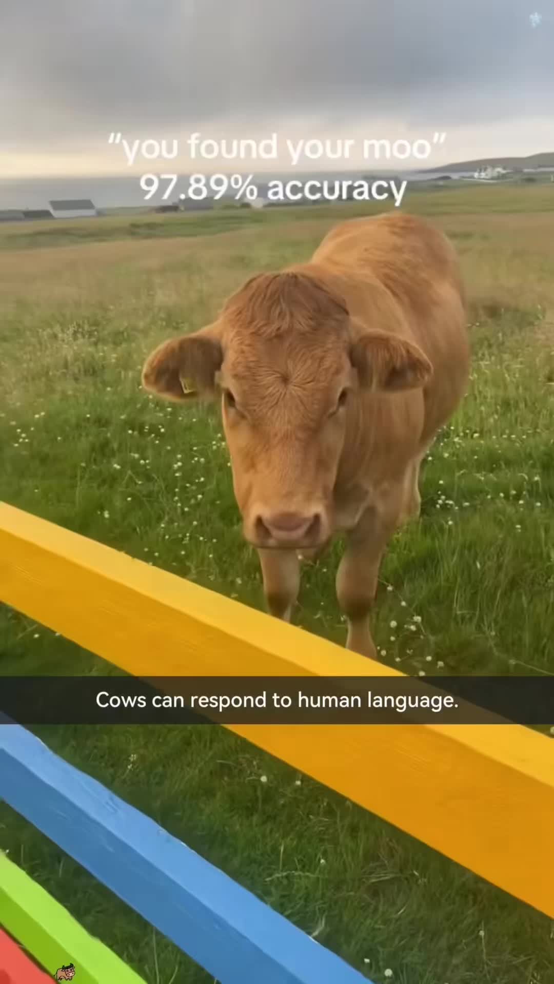 @cuteanimals472