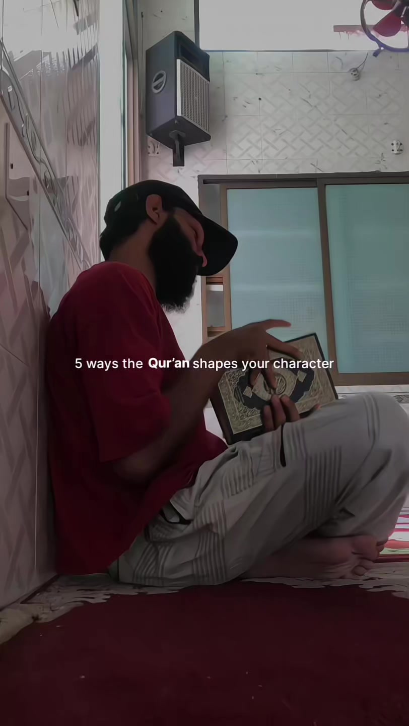 @Halal Mohsin