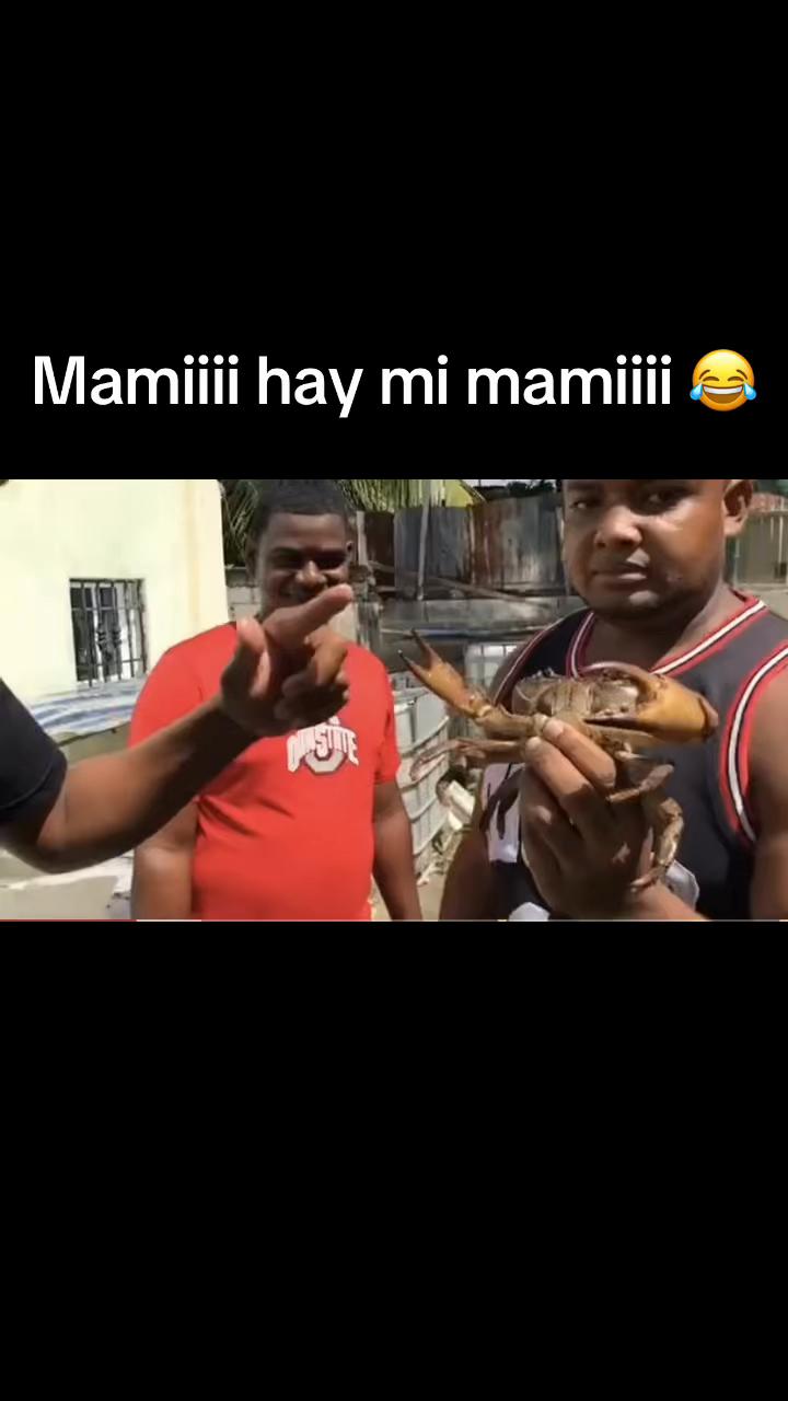 @Diviértete y gana con Miguel