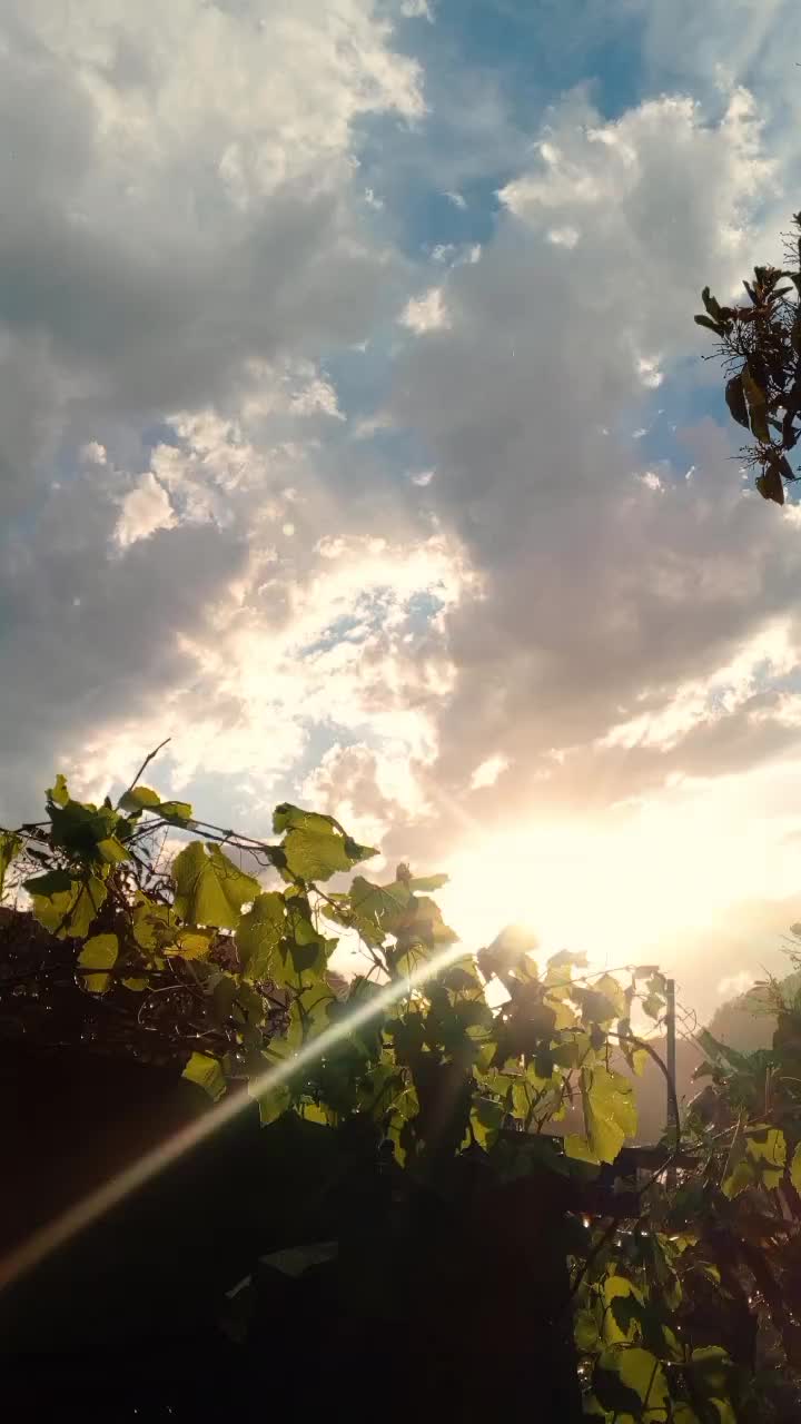 @𝐃𝐚𝐝𝐚 𝐋𝐚𝐢 𝐁𝐚𝐚𝐋