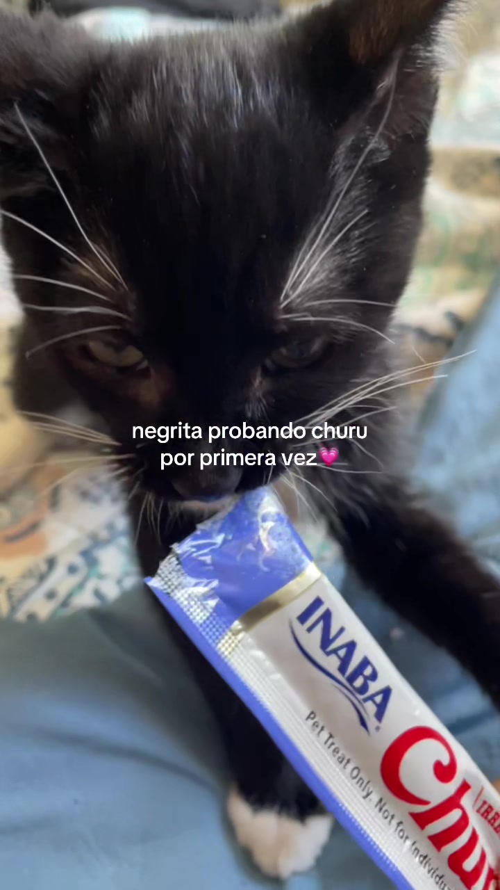 @Rayito y negrita