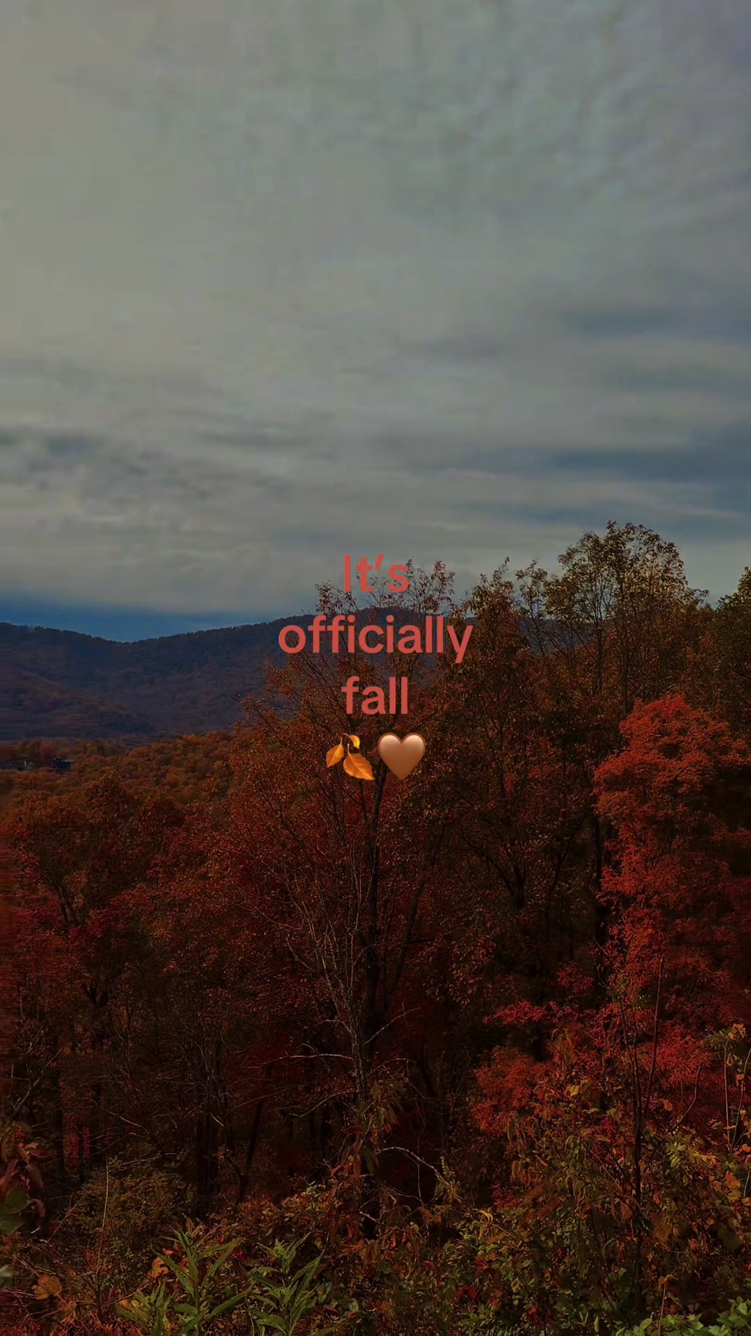 @𝒥 𝓊 𝓁 𝒾 ᥫ᭡