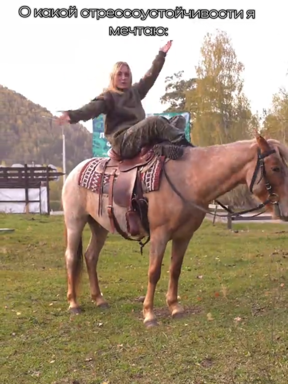 @tg: altaihorses