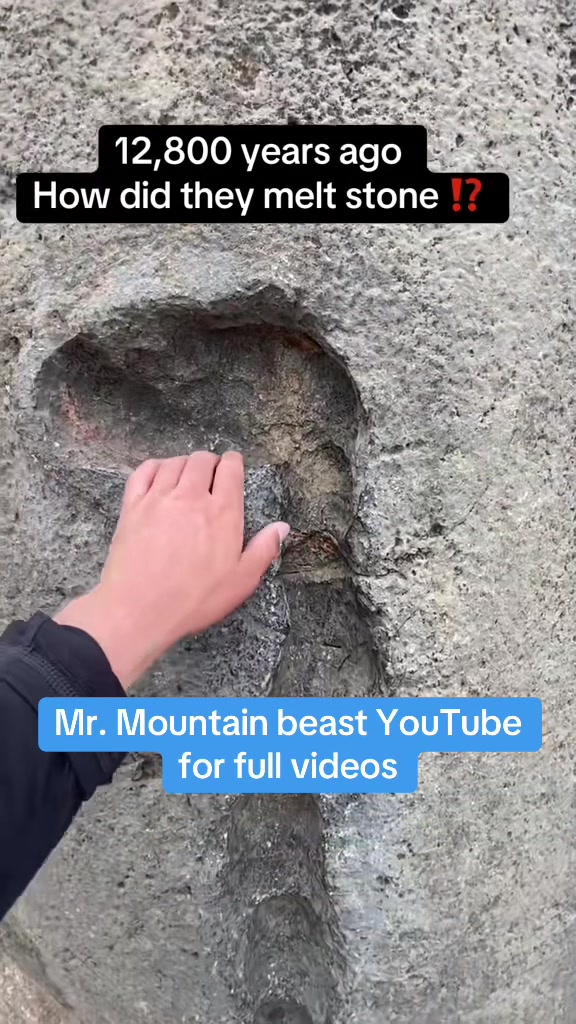 @Mr.mountainbeast