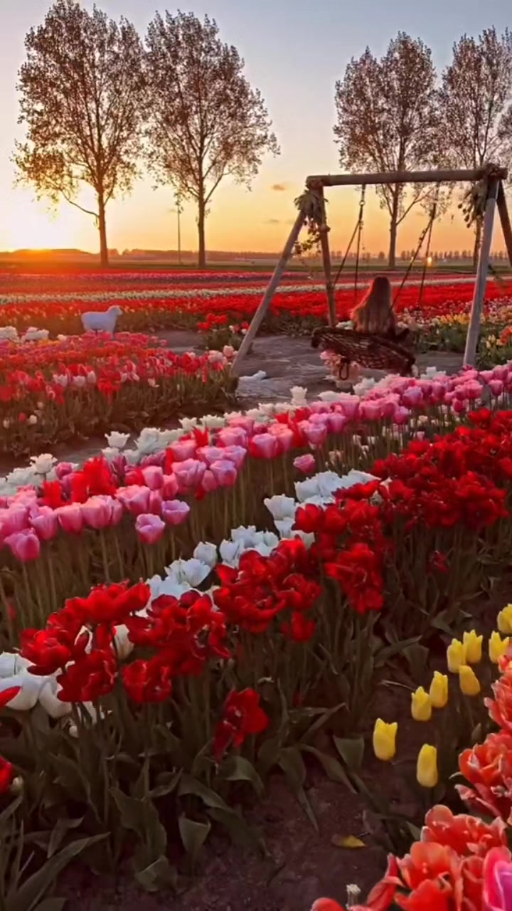 @Davi Paes da Silva