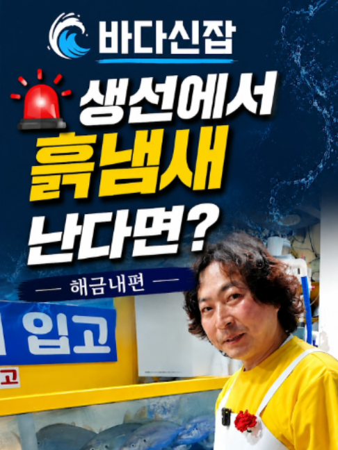 @바다나라김대표