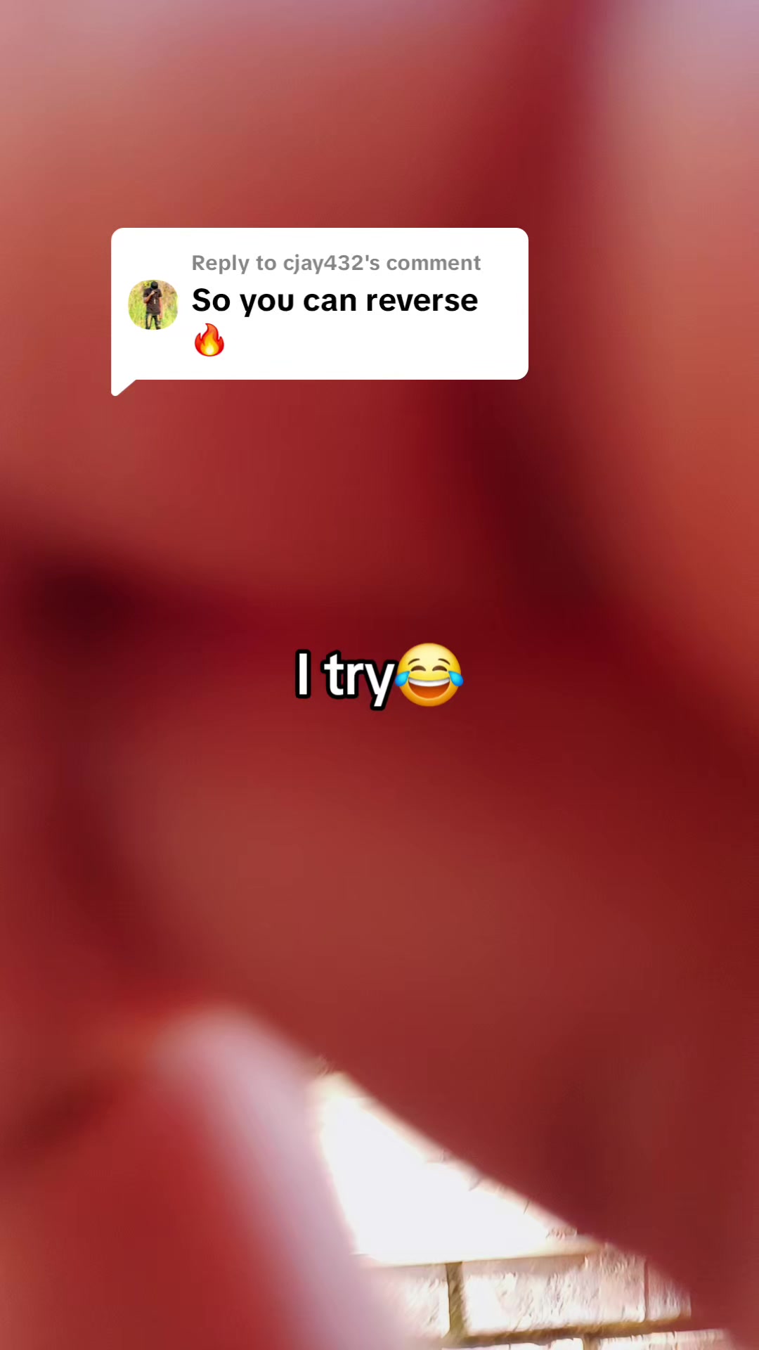 @goddess.of.survival?
