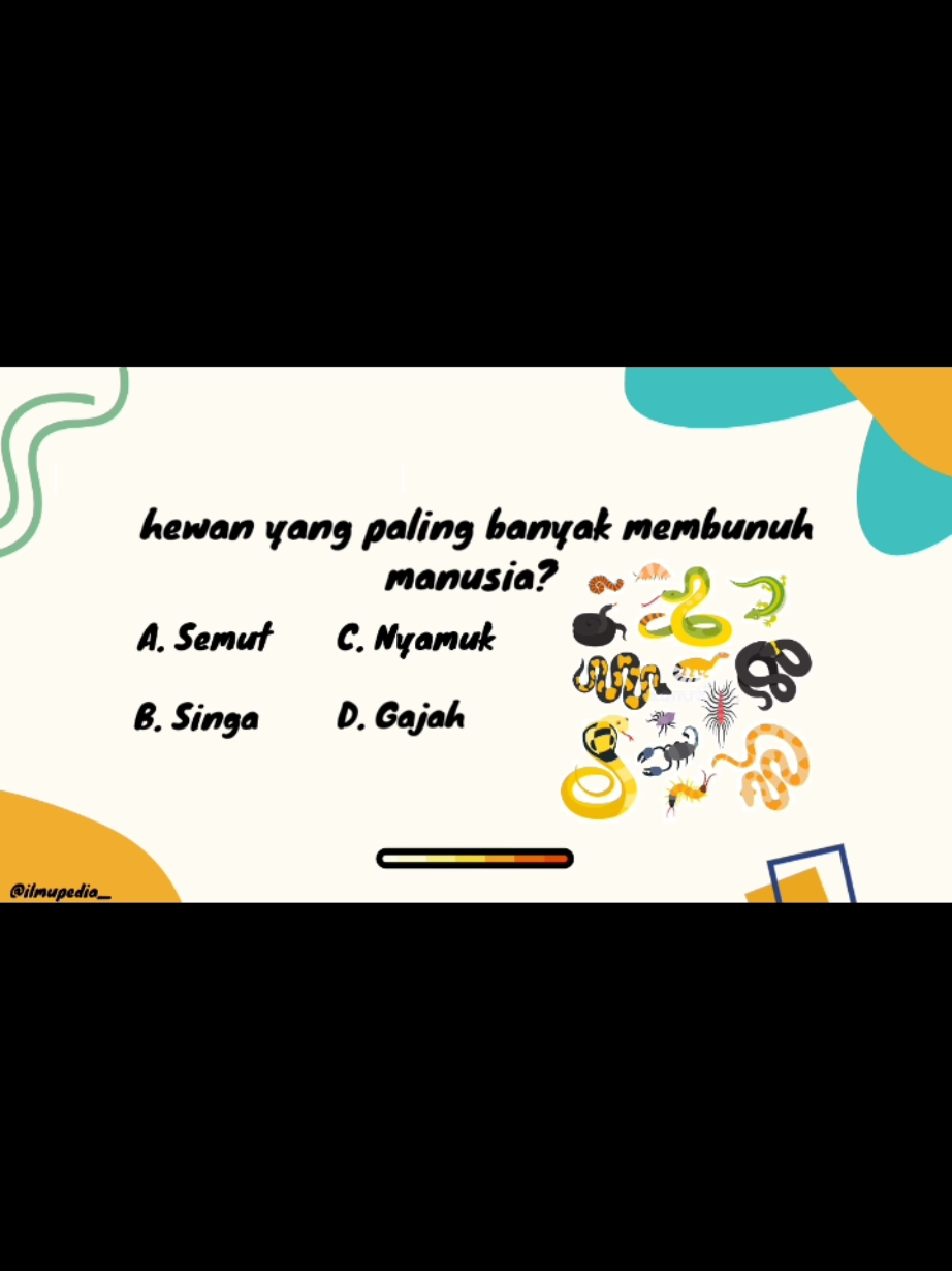 @Ilmupedia Store