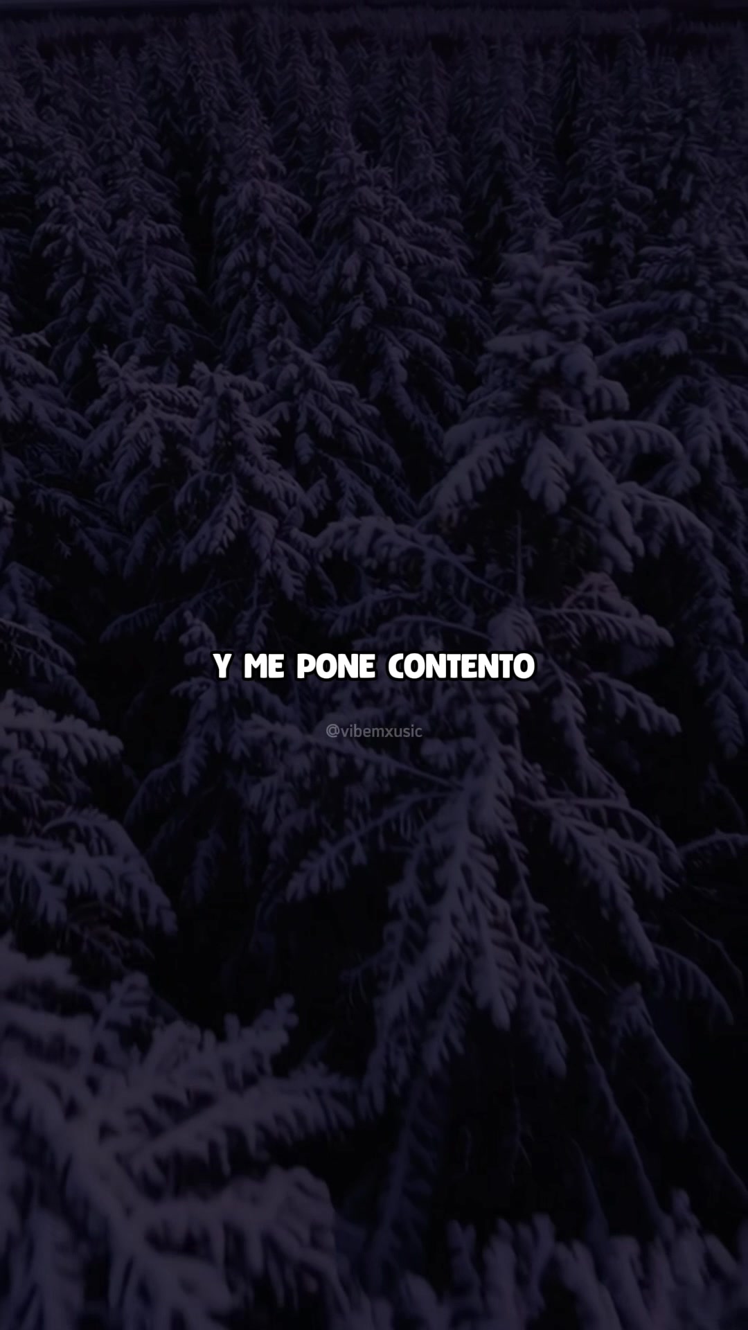 @Vibemxusic