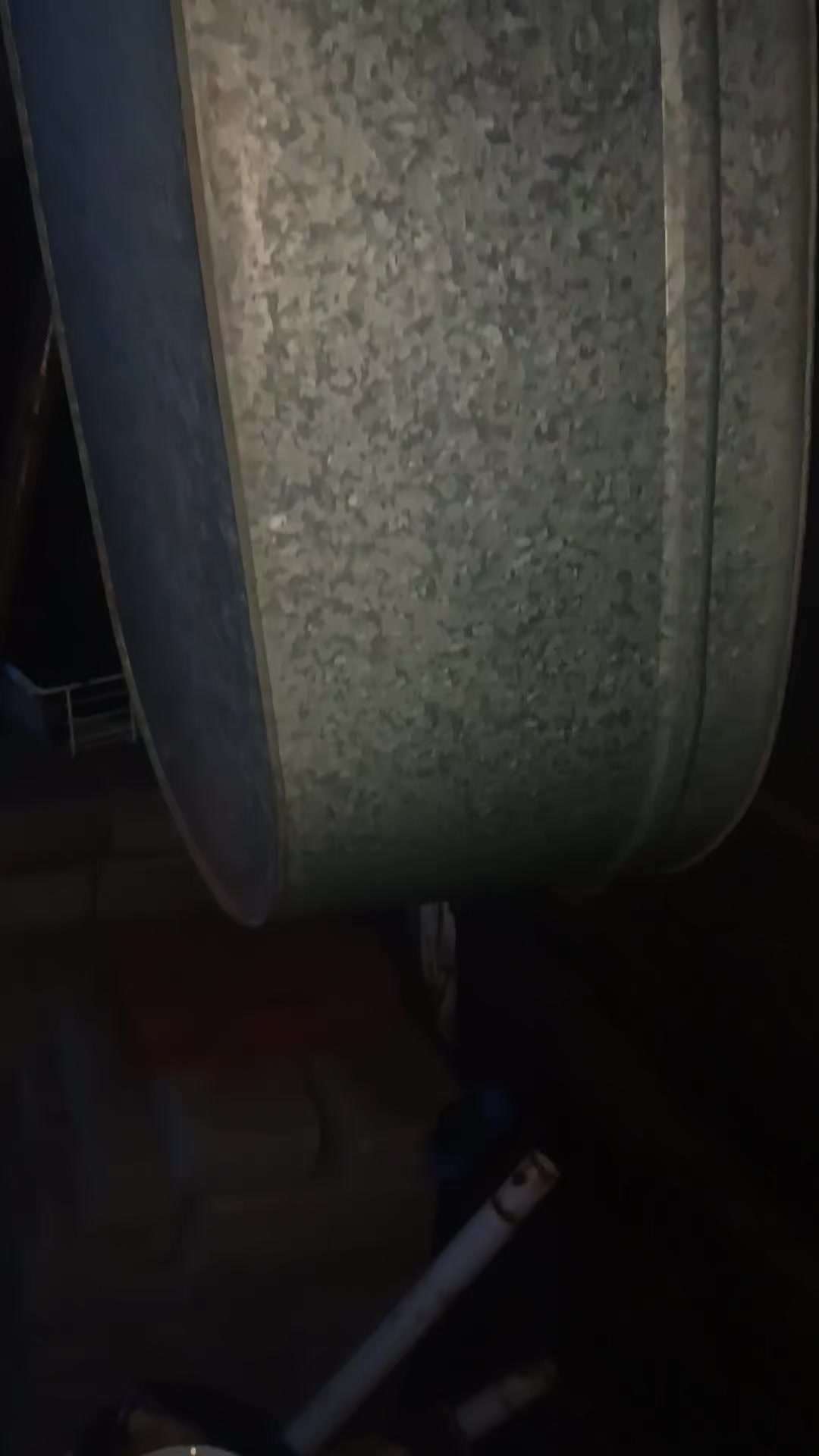 @Страус Магаданский