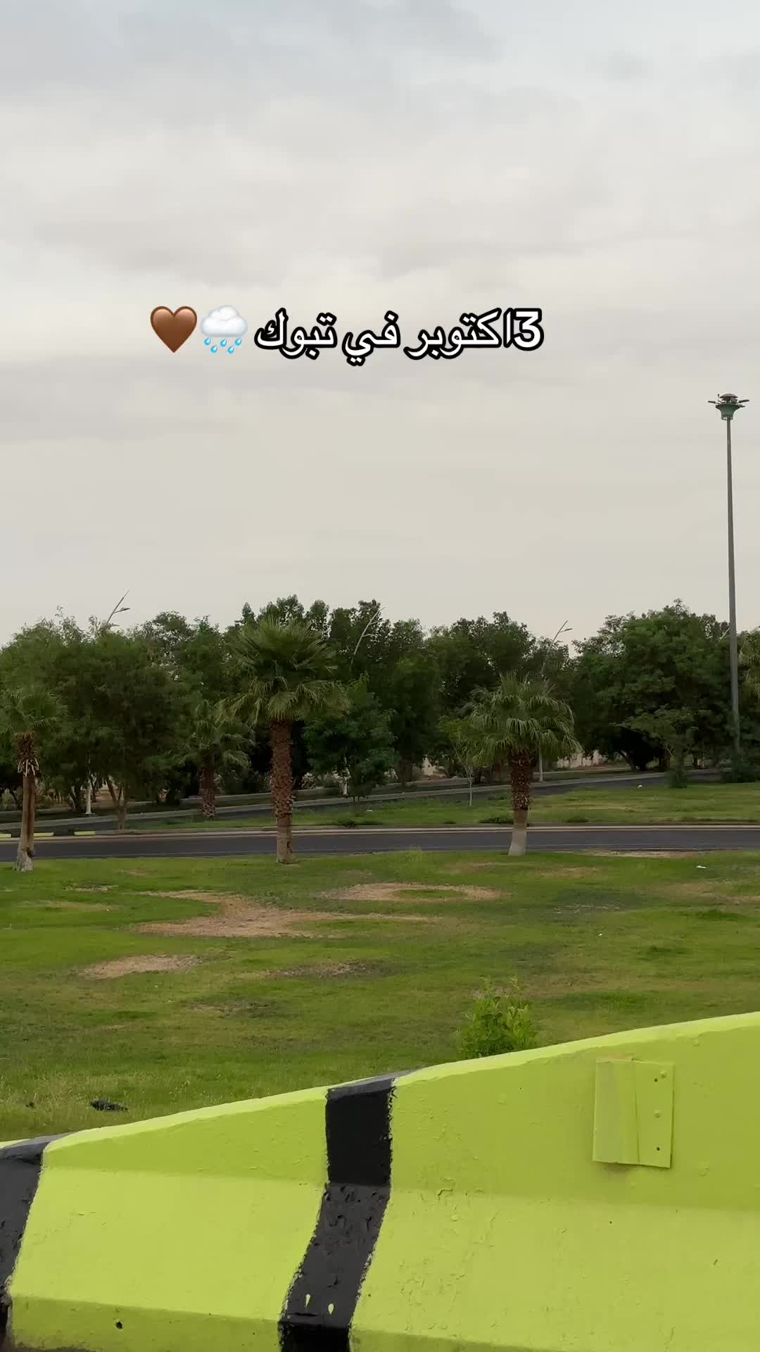 @تهاني |تبوك🌻✨