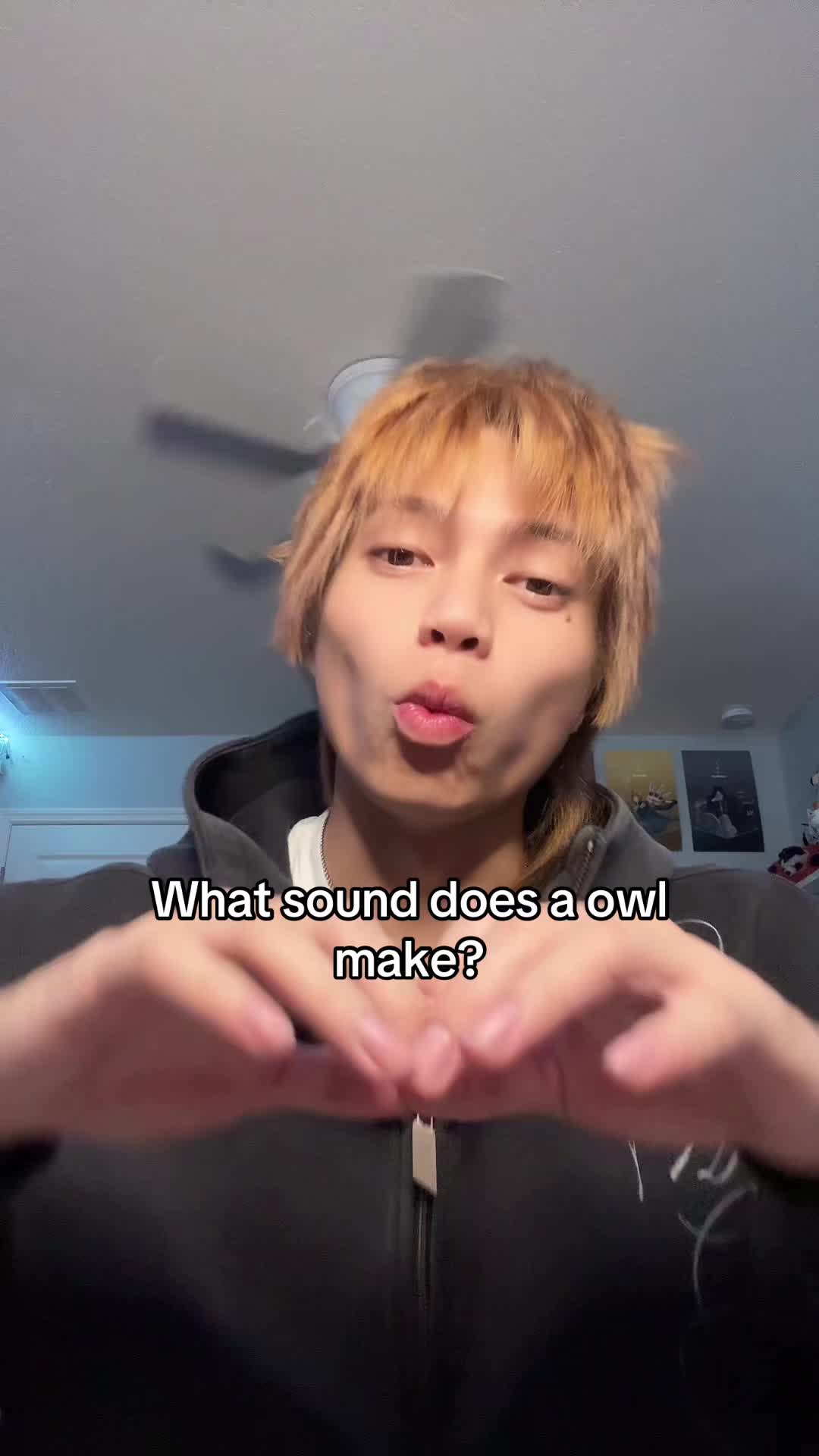 @jayseepoo