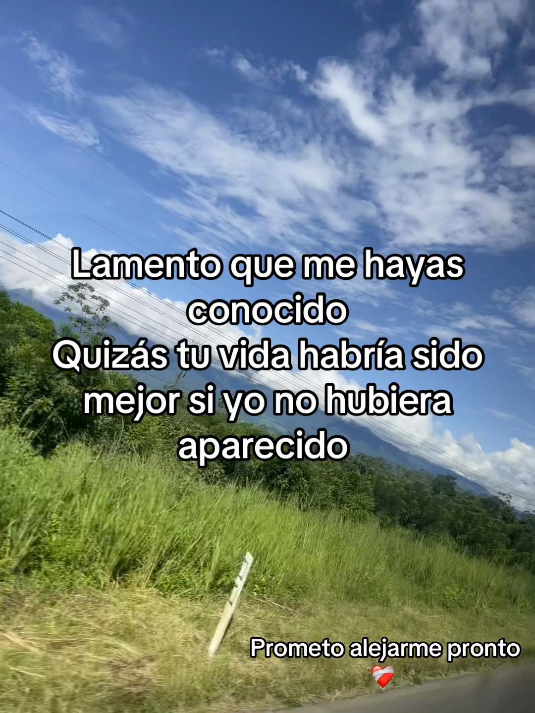 @Alison Lilibeth Sala