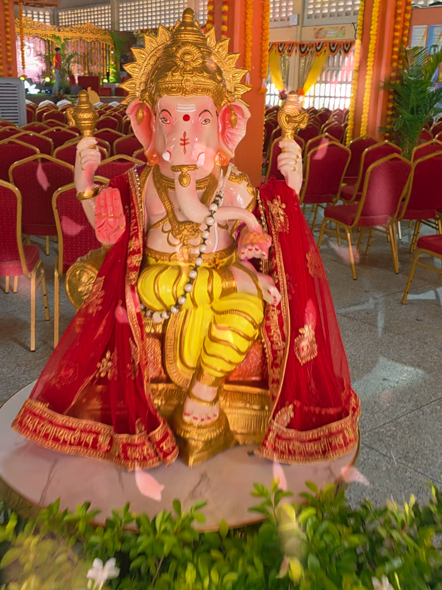 @Chakra Events & Decor 330 9152