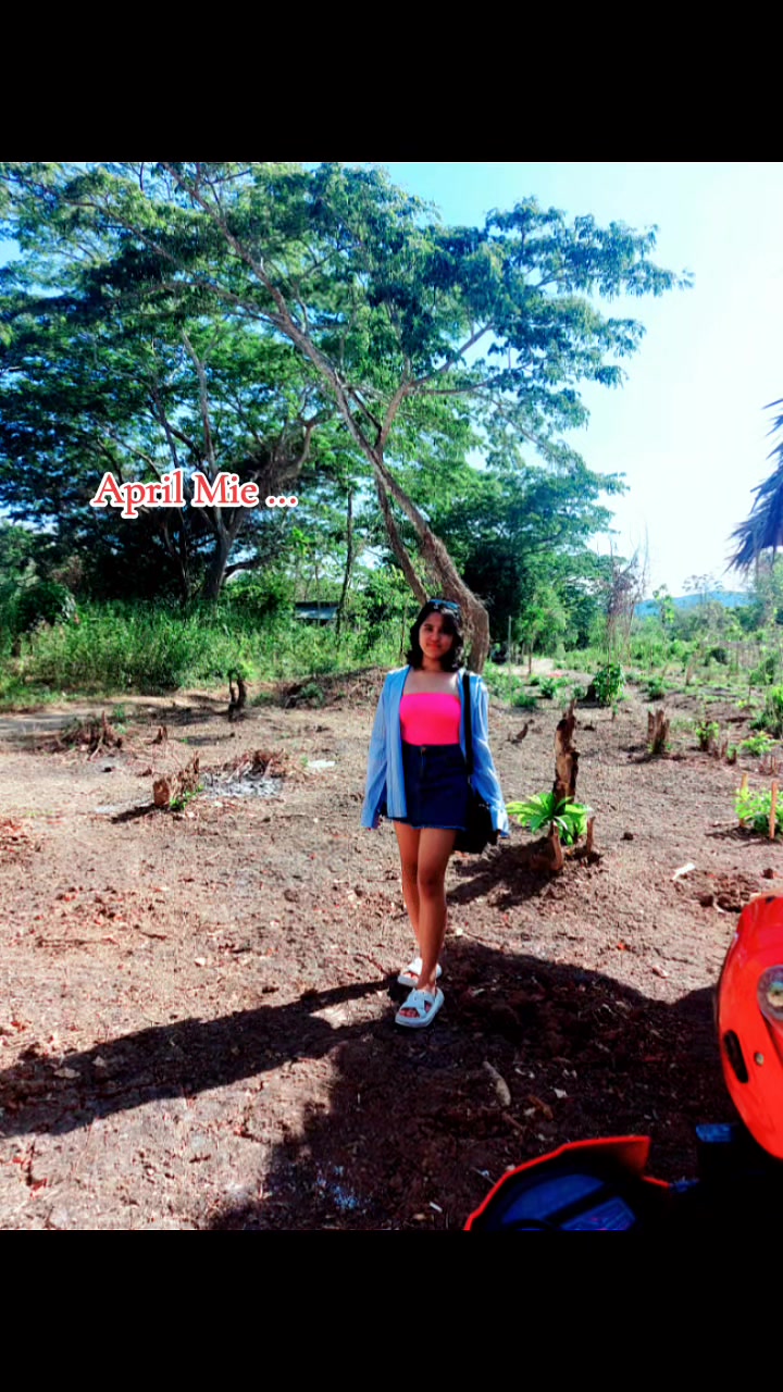 @Mea Girasol