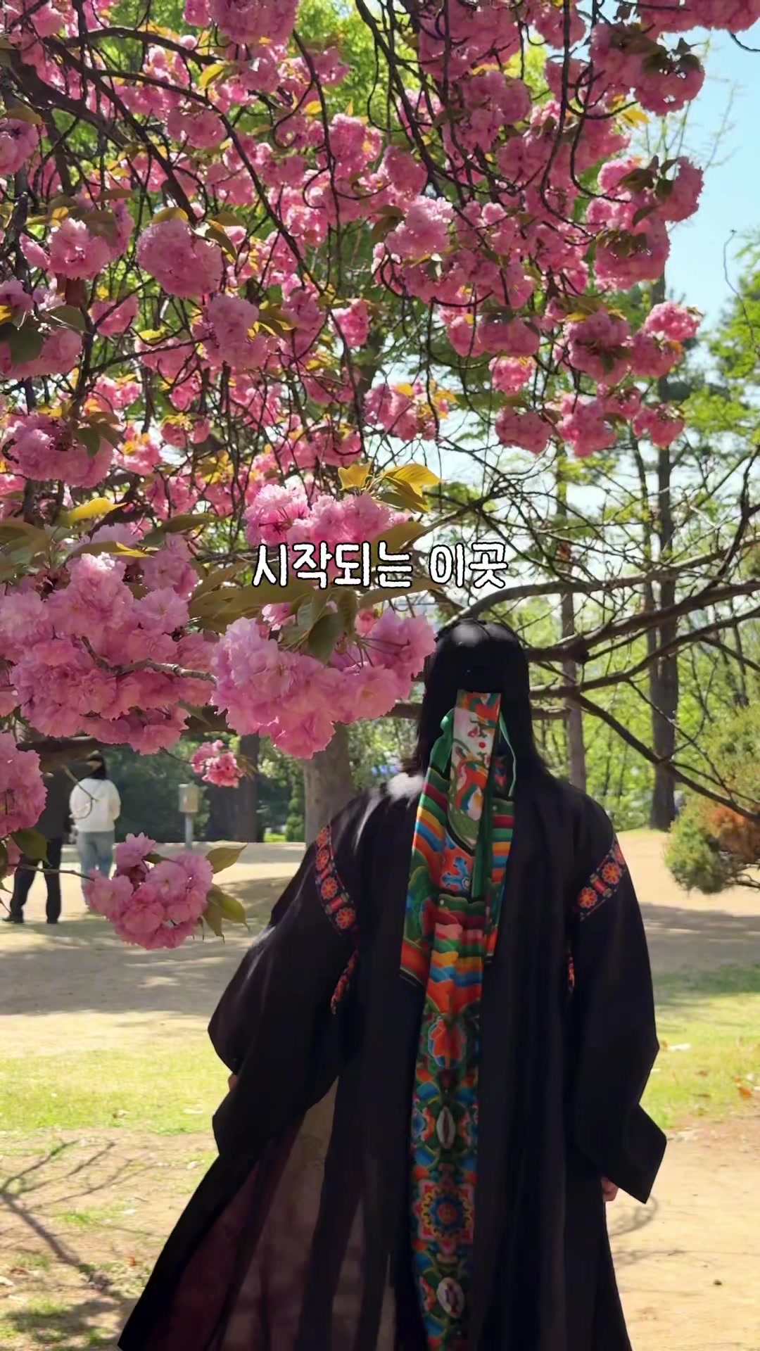 @traveler_jin