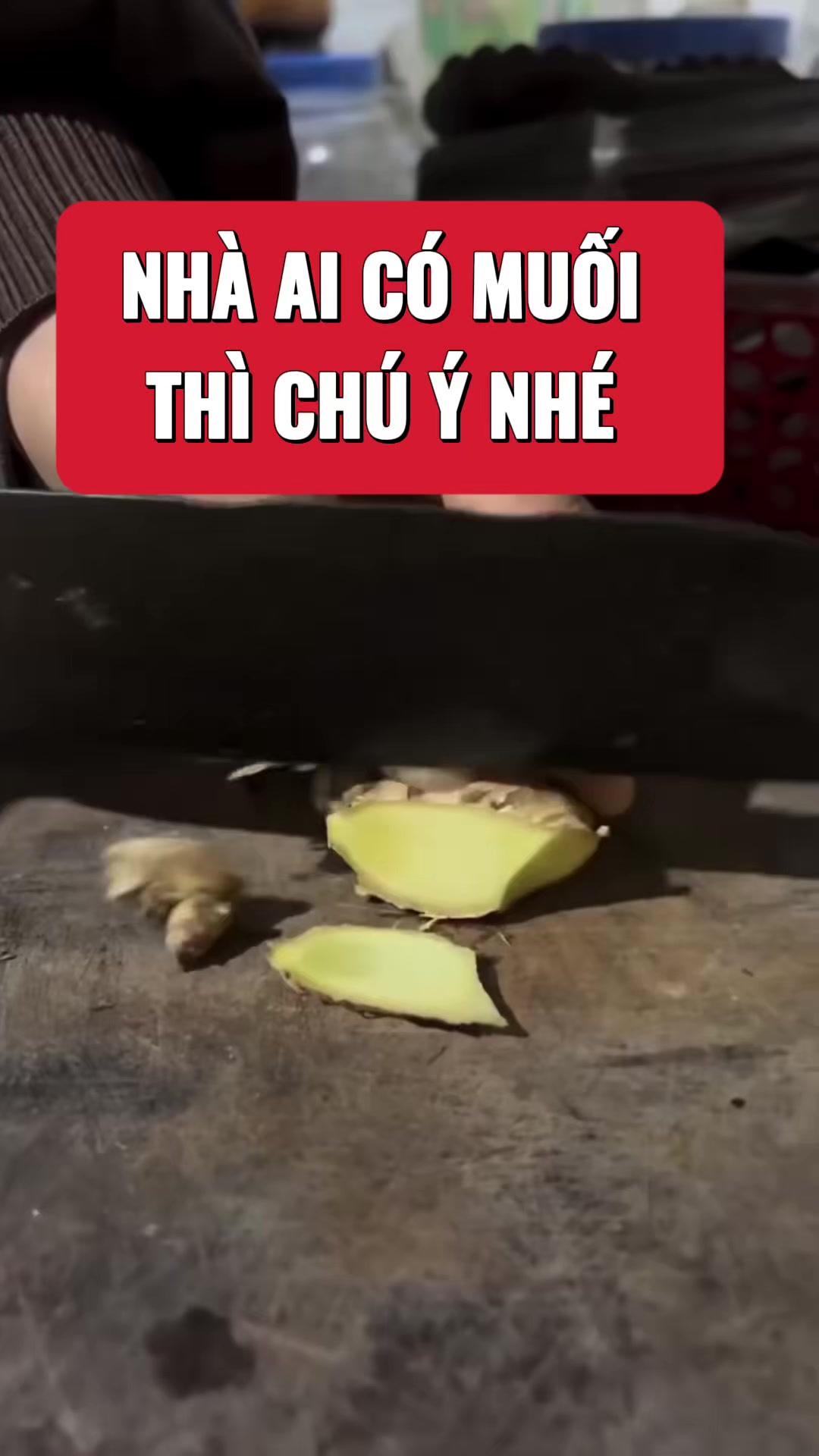 @suckhoevang98