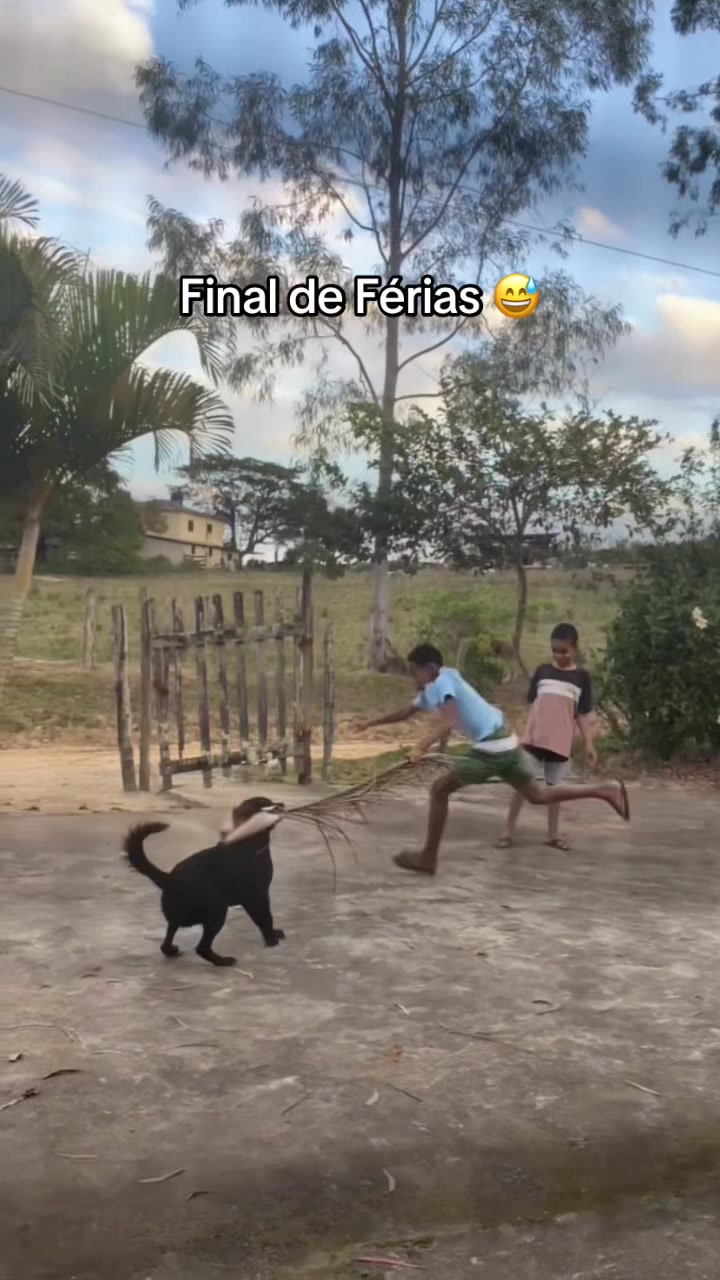 @Rosiani Sá Freire