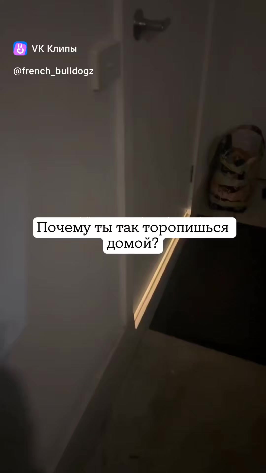 @🤗Леночка