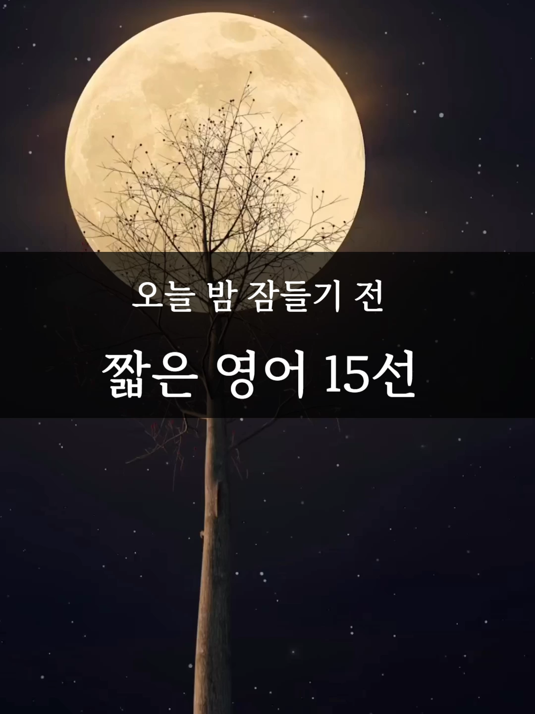 @Healing English - 내영동