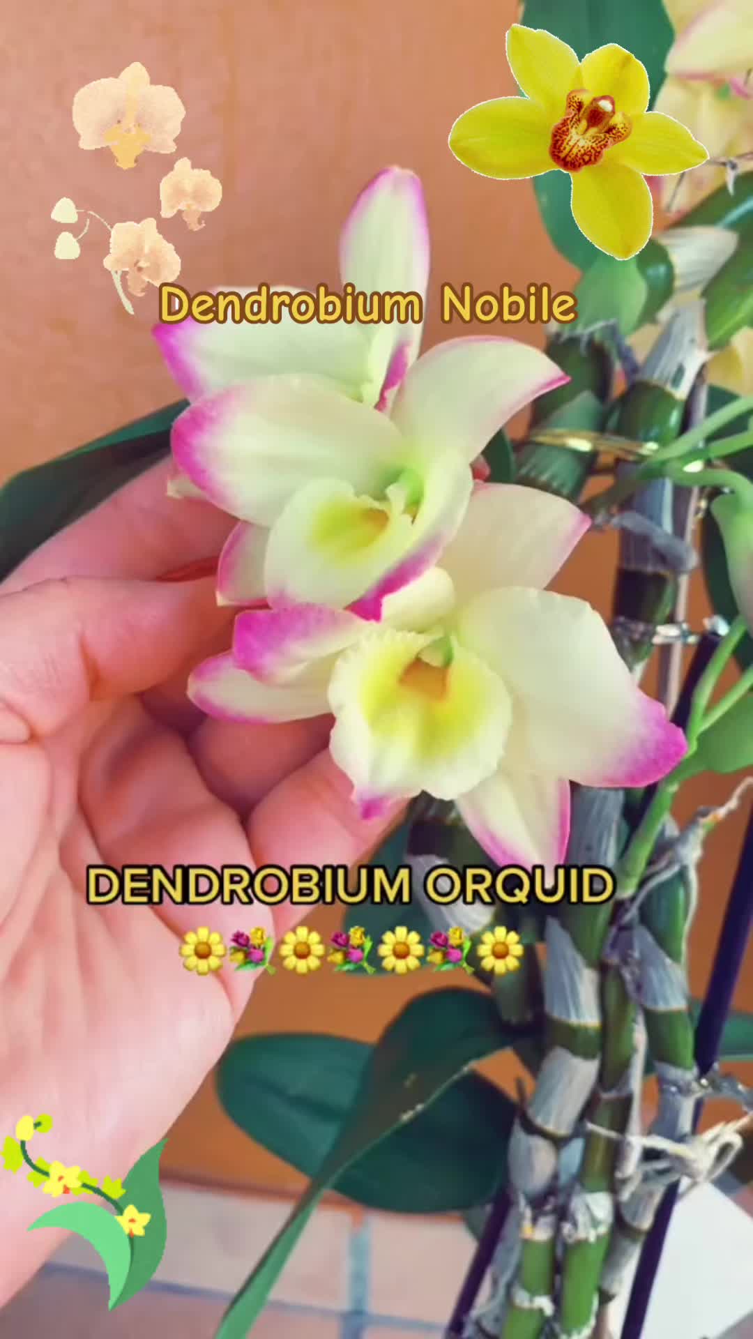 @Jacquie28