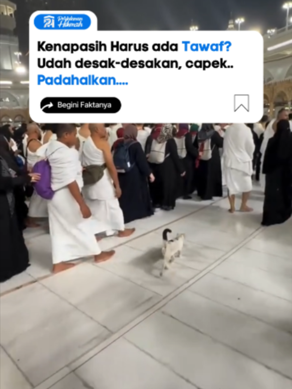 @Perjalanan Hikmah
