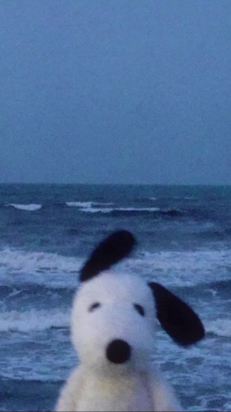 @★